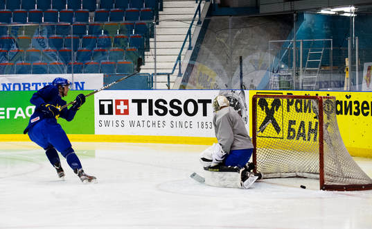 Mattias Ekholm, Viktor Fasth, målvakt