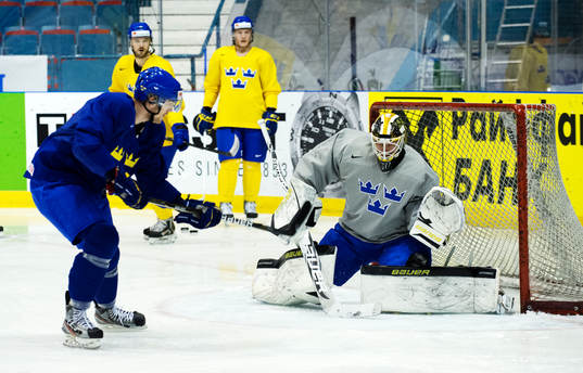 Mattias Ekholm, Viktor Fasth, målvakt