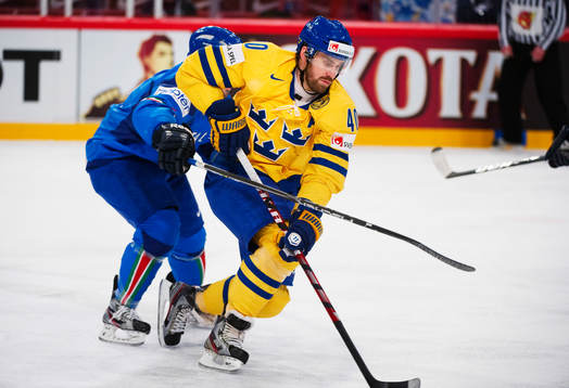 Henrik Zetterberg, Sverige
