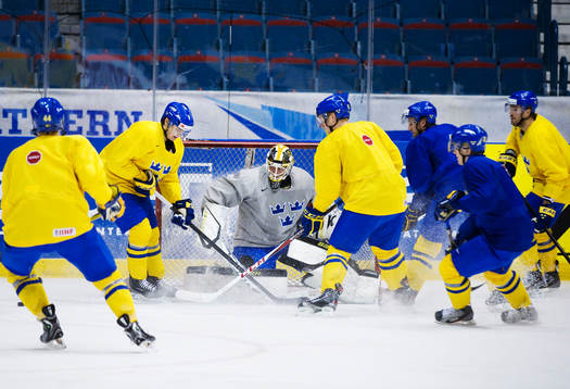Viktor Fasth, målvakt