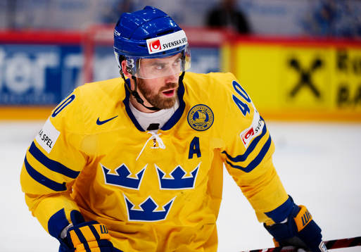 Henrik Zetterberg, Sverige