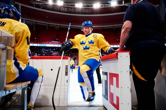 Bengt Åke Gustafsson, Sverige