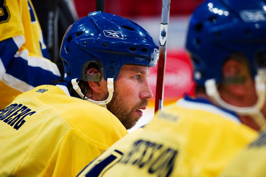 Peter Forsberg, Sverige