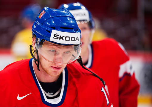 Martin Erat, Tjeckien