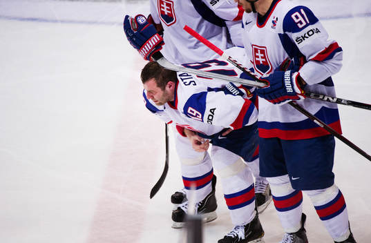 Tomas Starosta, Slovakien, skada