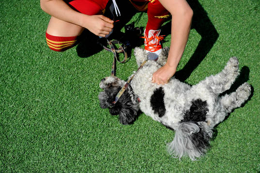 En spelare i Tyresö hälsar på en hund innan