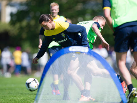 Zlatan Ibrahimovic, Sverige