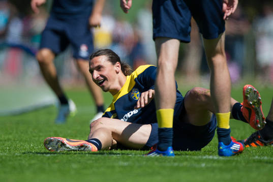 Zlatan Ibrahimovic, Sverige