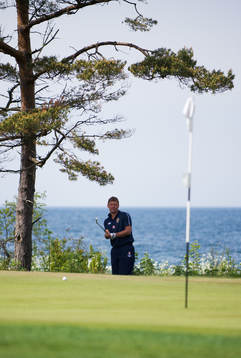 Delar av landslaget spelar golf, Marcus Allbäck, players