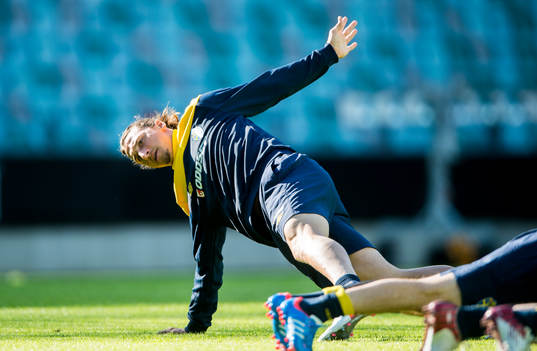 Zlatan Ibrahimovic