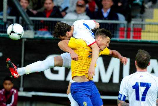 Markus Rosenberg, Sverige