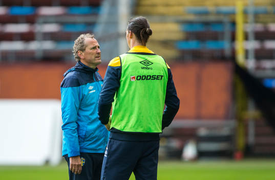 Zlatan Ibrahimovic pratar med Erik Hamrén, förbundskapten