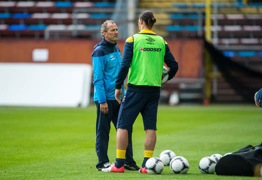 Zlatan Ibrahimovic pratar med Erik Hamrén, förbundskapten