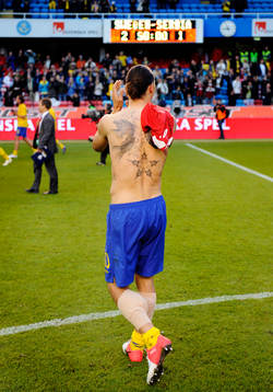 Zlatan Ibrahimovic, Sverige