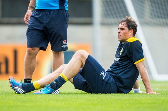 Johan Elmander