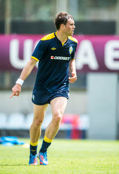 Johan Elmander