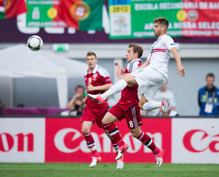 Miguel Veloso, Portugal, Christan Eriksen, Danmark