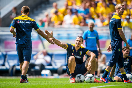 Öppen träning för de svenska fansen på Dynamo Stadion.