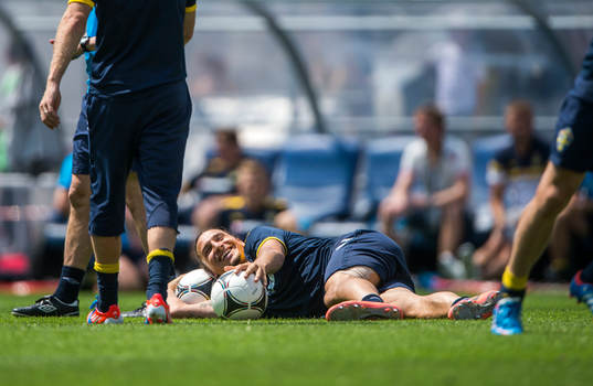 Öppen träning för de svenska fansen på Dynamo Stadion.