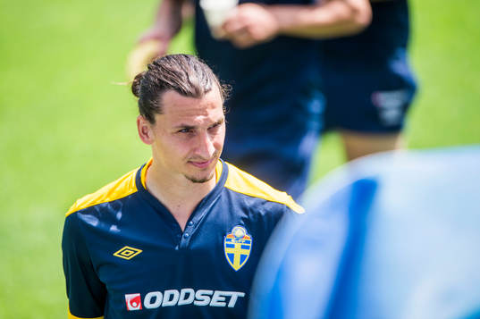 Öppen träning för de svenska fansen på Dynamo Stadion.