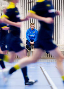 Thomas Dennerby, förbundskapten, Sverige