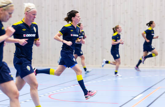 Fystest, Lotta Schelin, Sverige