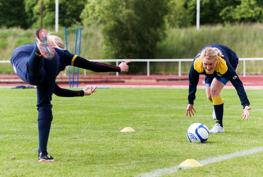 Marie Hammarström, Sverige
