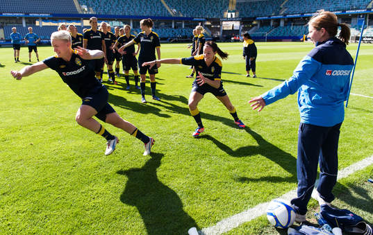Nilla Fischer, Lotta Schelin, Sverige
