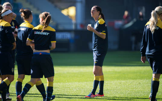 Lotta Schelin, Sverige