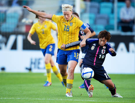 Nilla Fischer, Sverige