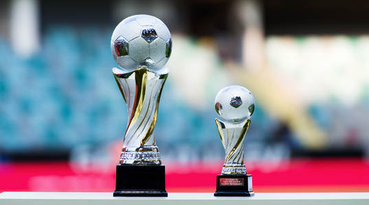 Pokal, volvo winners cup