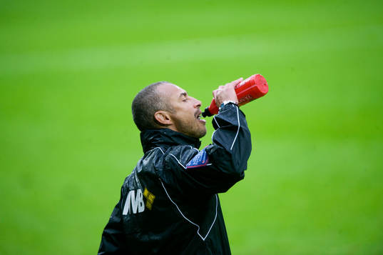 Henrik Larsson, tränare, Landskrona