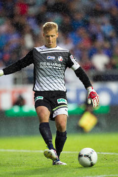 Pär Hansson, målvkat