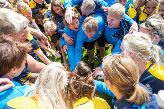 Sverige, jubel, taggning