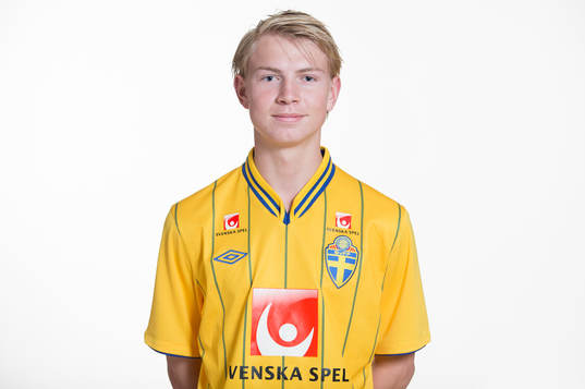 Hannes Ahlqvist, P17