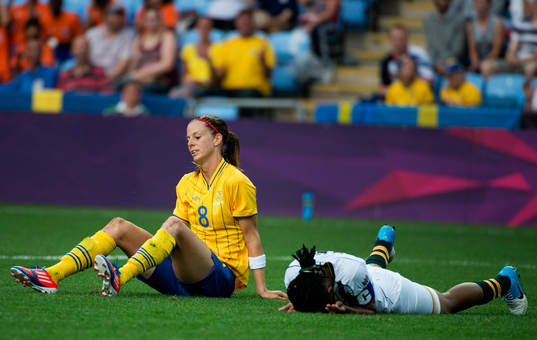 Lotta Schelin, Sverige