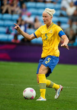 Nilla Fischer, Sverige