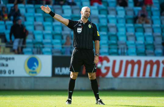 Stefan Johannesson, domare