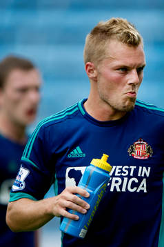 Sebastian Larsson, Sunderland