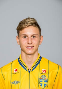 Ali Suljic