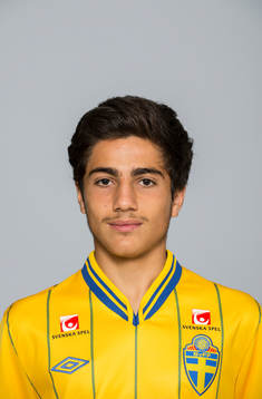 Mirza Turan