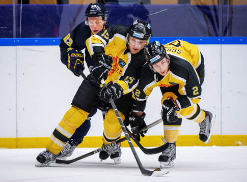 Sebastian Strandberg, HV71, Francois Fortier, Peter