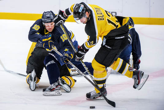 Jesper Thörnberg, HV71, Zdenek Blatny, Vienna Capitals