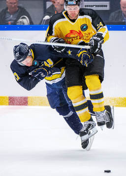 Jesper Williamsson, HV71, Jonathan Ferland, Vienna Capitals