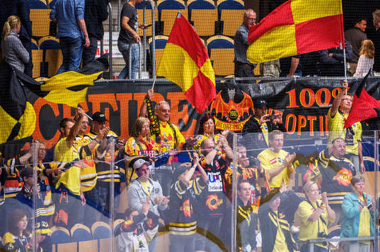 Vienna Capitals, supportrar, flaggor