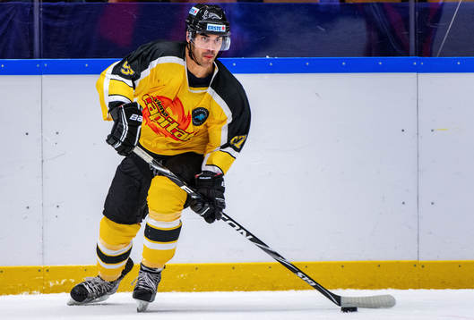 Josh Soares, Vienna Capitals