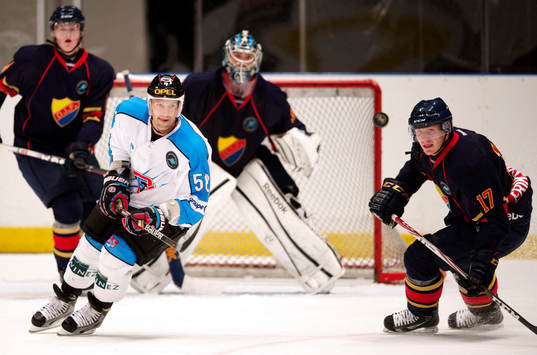 Henrik Eriksson, Djurgården och Sandy Jeannin, Fribourg