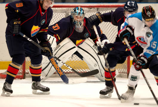 Chet Pickard, målvakt Djurgården