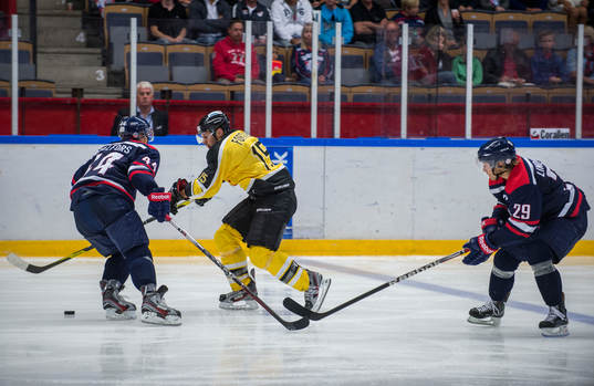 Francois Fortier, Vienna Capitals anfaller
