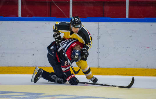 Brock McBride, Vienna Capitals och Joachim Nermark,